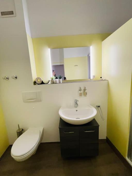 Fewo 20 - Appartement Im Rottalblick - Youngmodern Wohnen, Tiere Willkommen, Bademantelgang Zur Therme, Tv Und Balkon 巴特格里斯巴赫 外观 照片