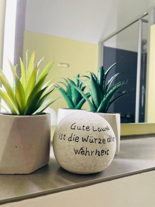 Fewo 20 - Appartement Im Rottalblick - Youngmodern Wohnen, Tiere Willkommen, Bademantelgang Zur Therme, Tv Und Balkon 巴特格里斯巴赫 外观 照片
